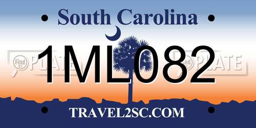 1ML082 South Carolina License Plate