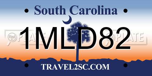 1MLD82 South Carolina License Plate