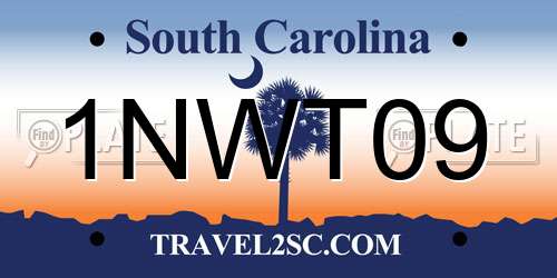 1NWT09 South Carolina License Plate