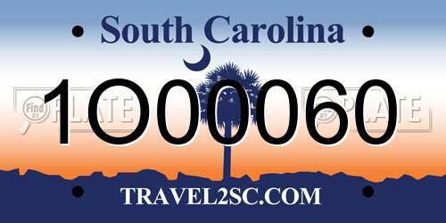 1O00060 South Carolina License Plate