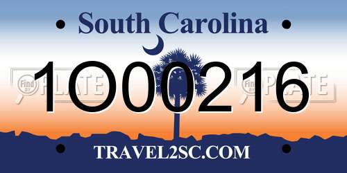 1O00216 South Carolina License Plate