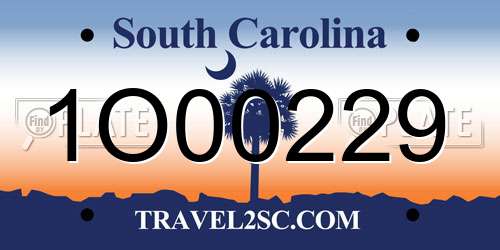 1O00229 South Carolina License Plate