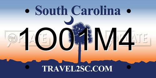 1O01M4 South Carolina License Plate