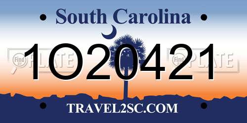 1O20421 South Carolina License Plate
