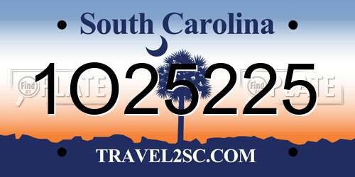 1O25225 South Carolina License Plate