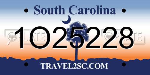 1O25228 South Carolina License Plate
