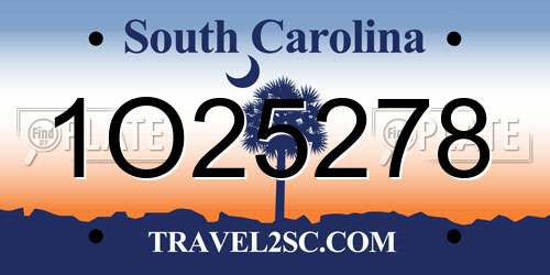 1O25278 South Carolina License Plate