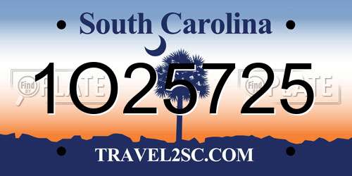 1O25725 South Carolina License Plate