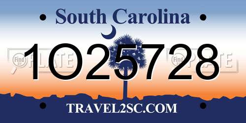 1O25728 South Carolina License Plate