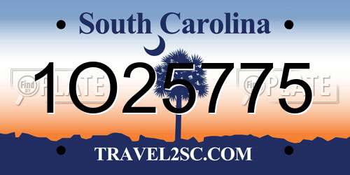 1O25775 South Carolina License Plate