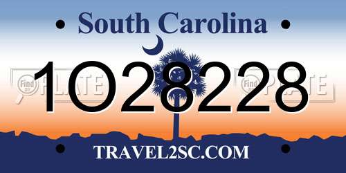 1O28228 South Carolina License Plate