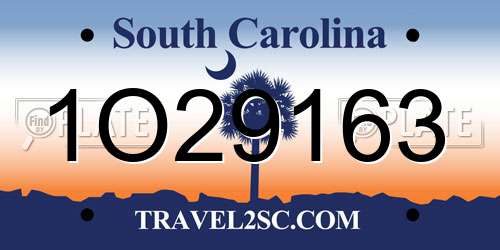 1O29163 South Carolina License Plate