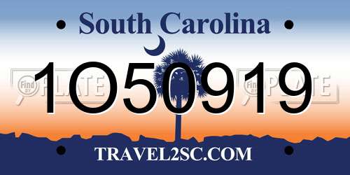 1O50919 South Carolina License Plate