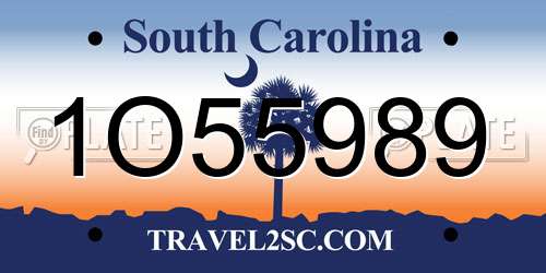 1O55989 South Carolina License Plate