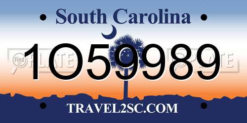 1O59989 South Carolina License Plate