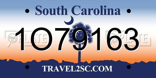 1O79163 South Carolina License Plate