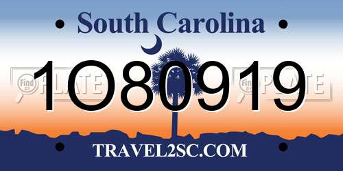 1O80919 South Carolina License Plate