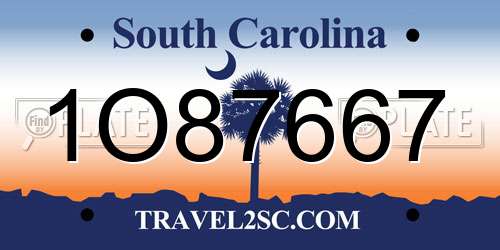 1O87667 South Carolina License Plate