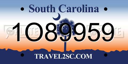 1O89959 South Carolina License Plate