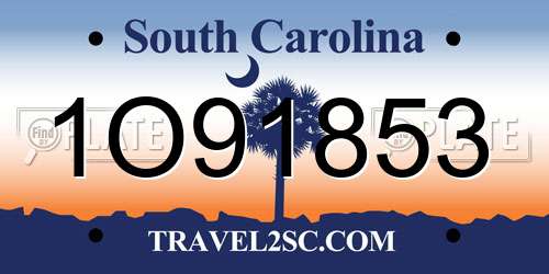 1O91853 South Carolina License Plate