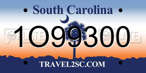 1O99300 South Carolina License Plate