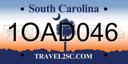 1OAD046 South Carolina License Plate