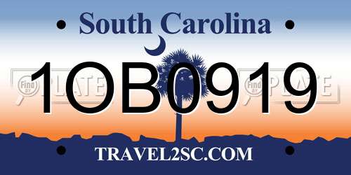 1OB0919 South Carolina License Plate