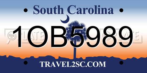1OB5989 South Carolina License Plate