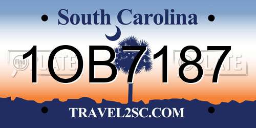 1OB7187 South Carolina License Plate