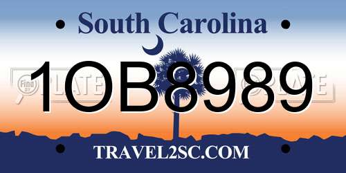 1OB8989 South Carolina License Plate