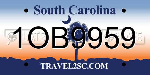 1OB9959 South Carolina License Plate