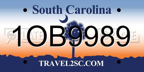 1OB9989 South Carolina License Plate