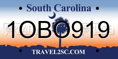 1OBO919 South Carolina License Plate