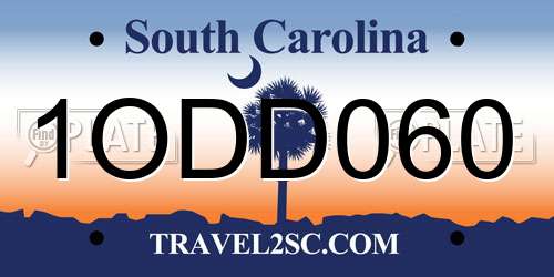 1ODD060 South Carolina License Plate