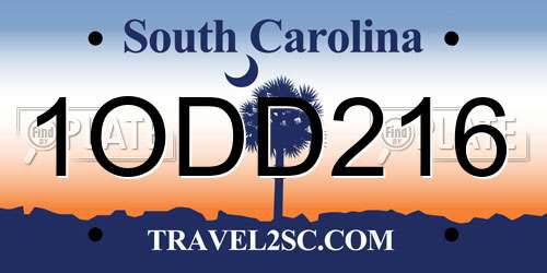 1ODD216 South Carolina License Plate