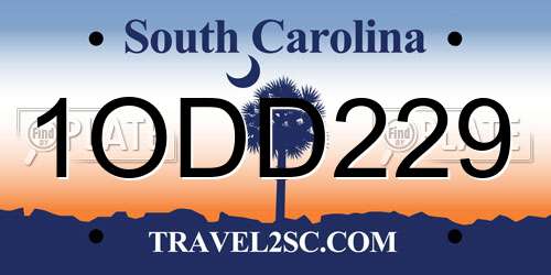 1ODD229 South Carolina License Plate