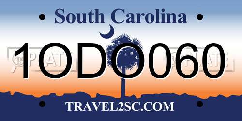 1ODO060 South Carolina License Plate