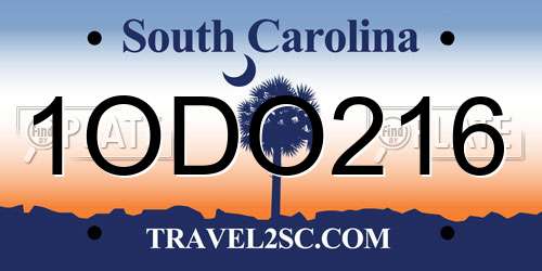 1ODO216 South Carolina License Plate