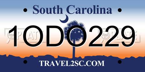 1ODO229 South Carolina License Plate