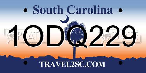 1ODQ229 South Carolina License Plate