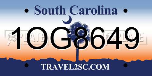 1OG8649 South Carolina License Plate