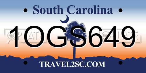 1OGS649 South Carolina License Plate