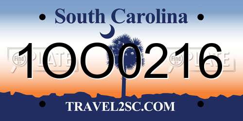 1OO0216 South Carolina License Plate
