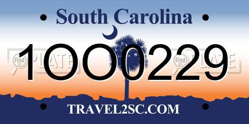 1OO0229 South Carolina License Plate