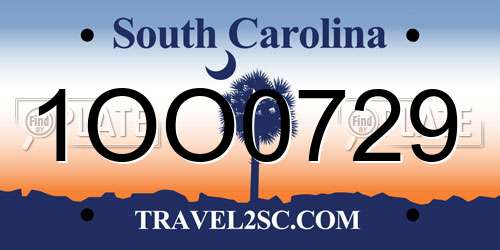 1OO0729 South Carolina License Plate