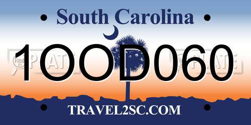 1OOD060 South Carolina License Plate