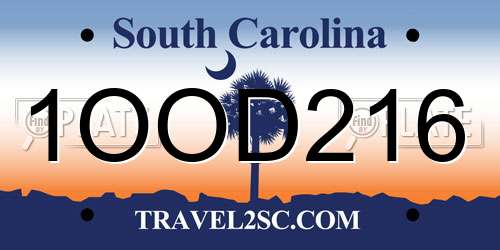 1OOD216 South Carolina License Plate