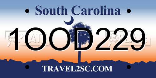1OOD229 South Carolina License Plate