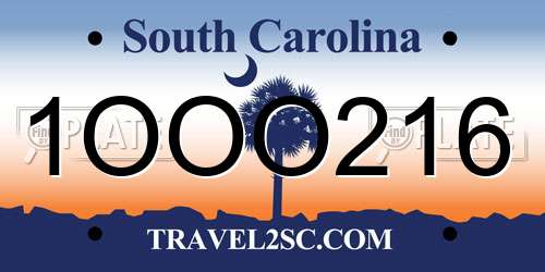 1OOO216 South Carolina License Plate