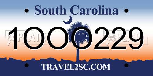 1OOO229 South Carolina License Plate
